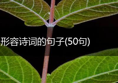 形容诗词的句子(50句)