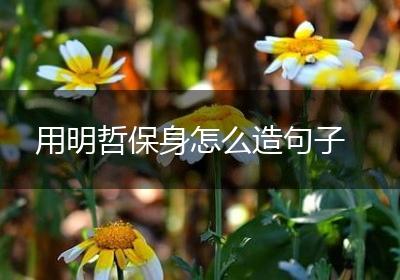 用明哲保身怎么造句子