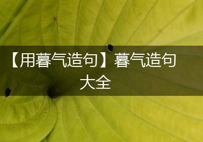 【用暮气造句】暮气造句大全