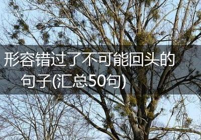 形容错过了不可能回头的句子(汇总50句)