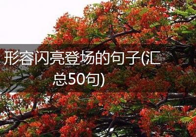 形容闪亮登场的句子(汇总50句)