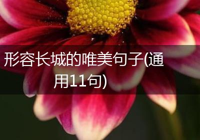 形容长城的唯美句子(通用11句)