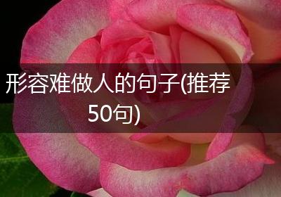 形容难做人的句子(推荐50句)