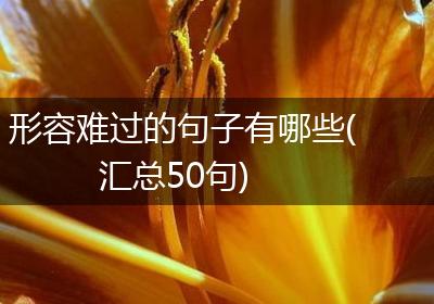 形容难过的句子有哪些(汇总50句)