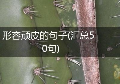 形容顽皮的句子(汇总50句)