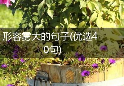 形容雾大的句子(优选40句)