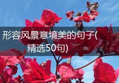 形容风景意境美的句子(精选50句)