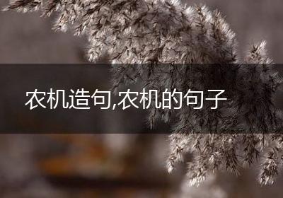 农机造句,农机的句子