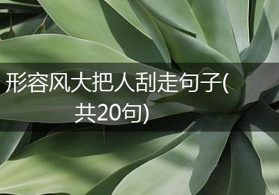 形容风大把人刮走句子(共20句)