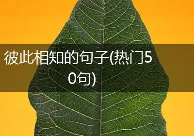 彼此相知的句子(热门50句)