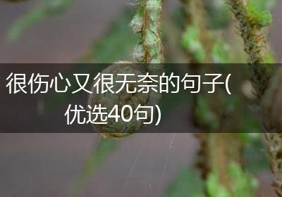 很伤心又很无奈的句子(优选40句)