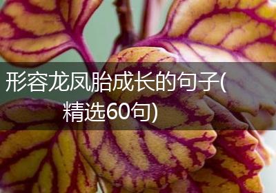 形容龙凤胎成长的句子(精选60句)
