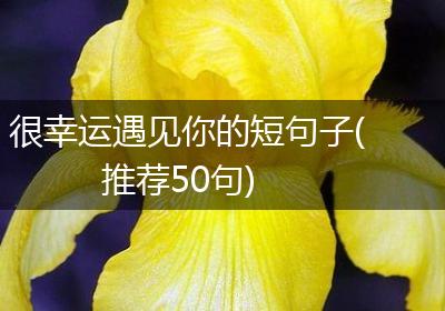 很幸运遇见你的短句子(推荐50句)