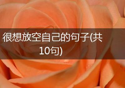 很想放空自己的句子(共10句)