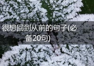 很想回到从前的句子(必备20句)