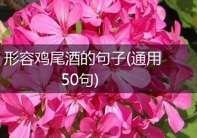 形容鸡尾酒的句子(通用50句)