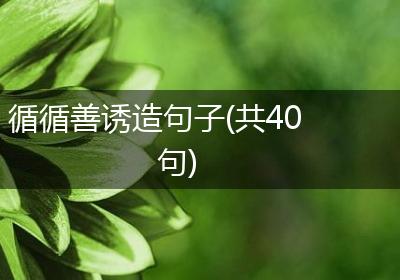 循循善诱造句子(共40句)
