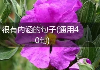 很有内涵的句子(通用40句)