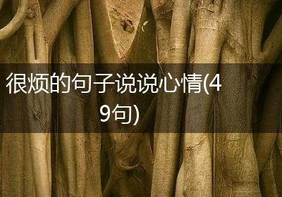 很烦的句子说说心情(49句)
