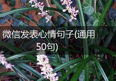 微信发表心情句子(通用50句)