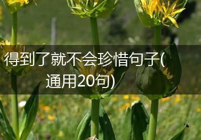 得到了就不会珍惜句子(通用20句)