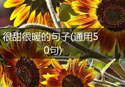 很甜很暖的句子(通用50句)