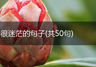 很迷茫的句子(共50句)
