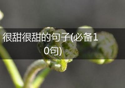 很甜很甜的句子(必备10句)