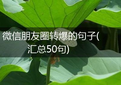 微信朋友圈转爆的句子(汇总50句)