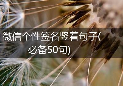 微信个性签名竖着句子(必备50句)