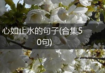 心如止水的句子(合集50句)