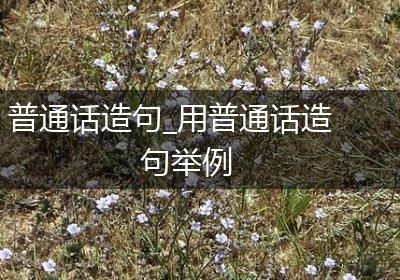 普通话造句_用普通话造句举例