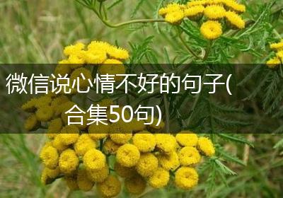 微信说心情不好的句子(合集50句)