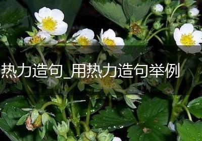 热力造句_用热力造句举例