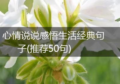 心情说说感悟生活经典句子(推荐50句)