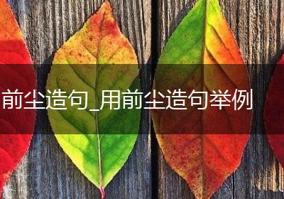 前尘造句_用前尘造句举例