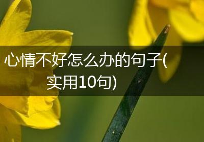 心情不好怎么办的句子(实用10句)