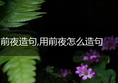 前夜造句,用前夜怎么造句