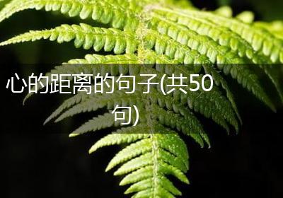 心的距离的句子(共50句)