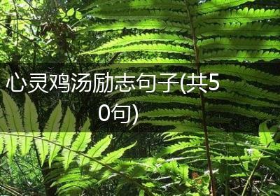 心灵鸡汤励志句子(共50句)