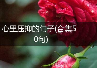 心里压抑的句子(合集50句)