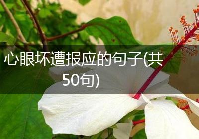 心眼坏遭报应的句子(共50句)