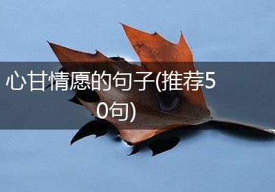 心甘情愿的句子(推荐50句)