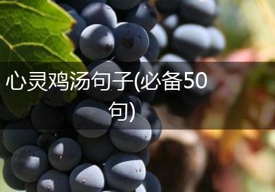 心灵鸡汤句子(必备50句)