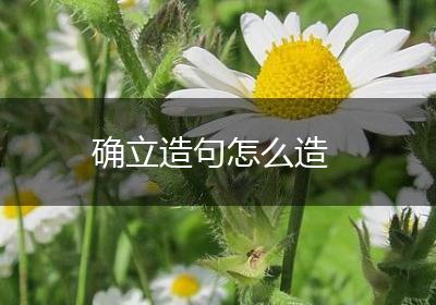 确立造句怎么造