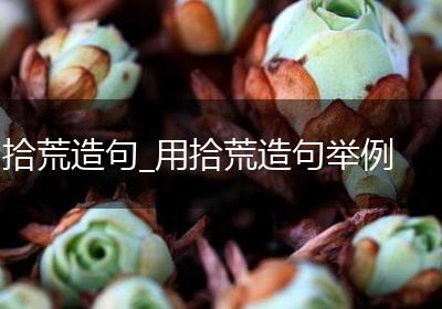 拾荒造句_用拾荒造句举例