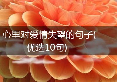 心里对爱情失望的句子(优选10句)