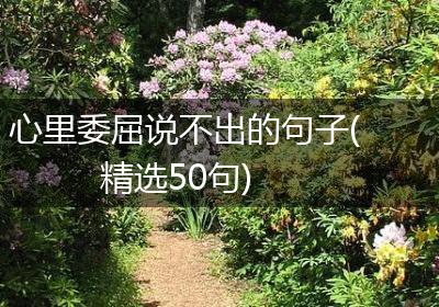 心里委屈说不出的句子(精选50句)