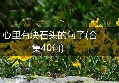 心里有块石头的句子(合集40句)