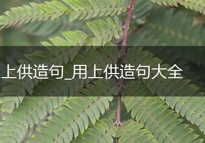 上供造句_用上供造句大全